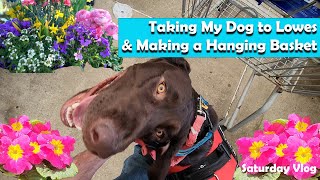 Shopping With My Dog at Lowes // Making a Hanging Basket || Saturday Vlog