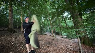 Kleinstmögliches Mikroabenteuer: In der Hängematte im Wald schlafen