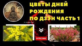 Цветы дней рождения по Дзэн. Часть 1