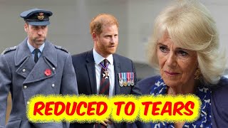 Prince Harry reduced to tears by Queen Camilla, William’s new decision