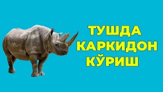 Туш табири - Тушда Каркидон куриш