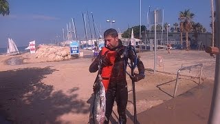 spearfishing spanish makrel פלמידה חדד וסרתנים דיג בצלילה חופשית