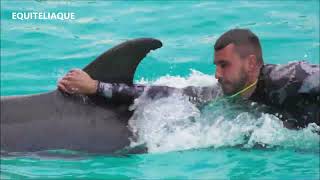 Dolphins show @ Marineland park near Antibes France 20 april 2023 - spectacle des dauphins