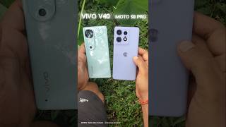 Vivo v40 vs Motorola edge 50 pro camera test Vivo v40 Pro vs Motorola edge ultra camera test