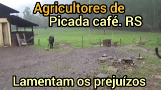 Como recuperar todos os prejuízos ? picada café RS