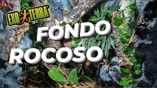 🦎 Cómo hacer TERRARIO ROCOSO para GECKOS 🦎