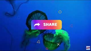 Scuba -  Under Water Sounds for Relaxation #Shorts