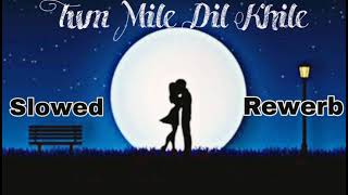 Tum Mile Dil Khile।{Slowed & Rewerb}। New version । Stebin Ben,Asees Kaur। Latest Hindi songs 2023😍