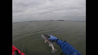 Fly Fishing on a Blustery Day in Port A