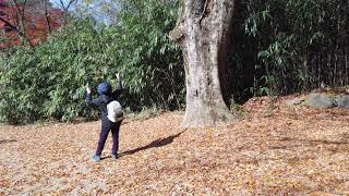 (Seong Gwang Sa) 송광사 The last of autumn, and the start of winter.