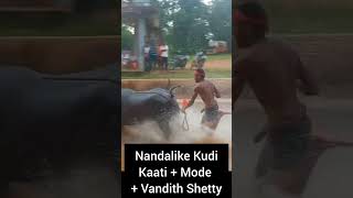 Nandalike Kudi🔥 Kaati + Mode + Vandith🔥