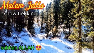 malam jabba snow trekking | green valley | unseen place in malam jabba