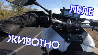 ТЕСТ НА МОТОРА СЛЕД ТУНИНГА/БРУТАЛНА РАЗЛИКА/ХИСАРЯ