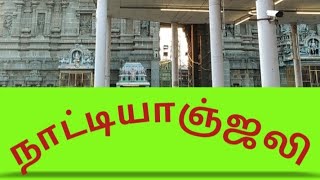 சிதம்பரம் நாட்டியாஞ்சலி