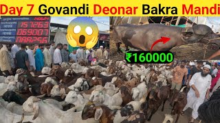 Day 7 ₹160000 || Govandi Deonar Bakra Mandi