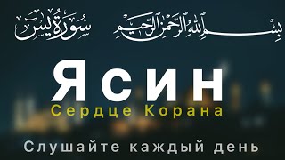 Сура Ясин (СЕРДЦЕ КОРАНА) СЛУШАЙТЕ КАЖДЫЙ ДЕНЬ. будет БАРАКАТ КАЖДЫЙ ДЕНЬ 🤲🏻