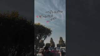 Best Urdu Poetry Urdu Shayari Sad Status Video 2023