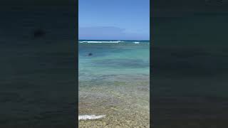 Waikiki Hawaii beach