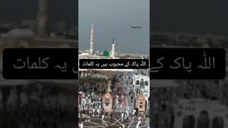 اللّٰہ پاک کو پسند ہیں یہ کلمات