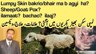 Goat Sheep pox beemari ki ilamaat or ilaaj - Dr Waheed Ahsan