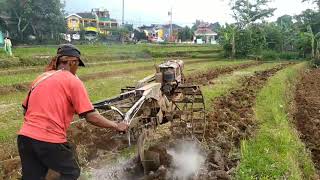 Lahan Kering Tidak Ada Air,,Traktor Sawah Singkal Lahan Untuk Tanam Kacang