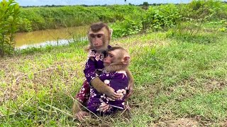 wow it's lovey! Smart DuDu Take Care BiBi his sister baby monkey is very good