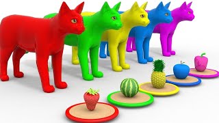 belajar mengenal warna dengan kucing lucu warna-warni | hewan animasi merah kuning hijau biru ungu