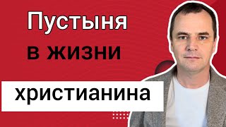 Почему Бог допускает ПУСТЫНЮ в жизни христианина?