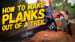 HOW TO MAKE PLANKS OUT OF A TREE | Nyayat Kayu Ngaga Ramu