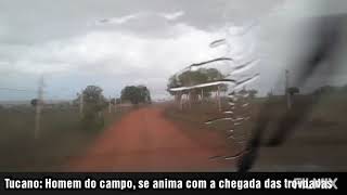 Tucano: Chegada das trovoadas, alegra  o homem  do campo