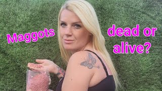 Maggots- don't throw them away save money