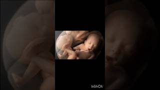 twin baby fetal development#shorts#viral#youtubeshorts#shortvideo#viralvideo