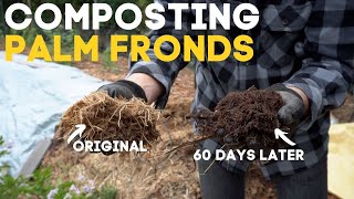 Composting Palm Fronds - REALLY GOOD EARLY RESULTS | UPDATE VIDEO