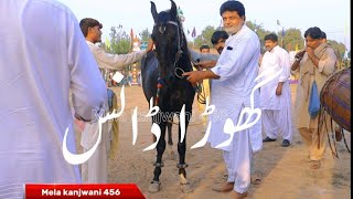 New Best Horse Dance 2024 || Mian Ahmed Shair Ramo ka watto || Mela kanjwani 456