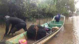 Trip 48 : Membelad di Sungai Mukah, Sarawak | Rezeki awal musim baru..