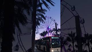 Just a BUS waiting for some passengers in front of Almería, Spain 🇪🇸😍 sunset! Follow for more! ❤️