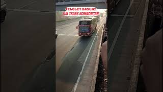 Hunting telolet basuri Rjb trans rombongan#basuri#telolet#busmania#bus