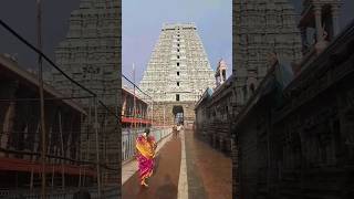 thiruvanamalai temple #shorts