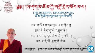 Day-28 The Buddha-Dhammapada  ཆོས་ཀྱི་ཚིགས་སུ་བཅད་པའི་མདོ། དཀའ་ཆེན་ཚུལ་ཁྲིམས། ལ་དྭགས་ཀྱི་སྐད།