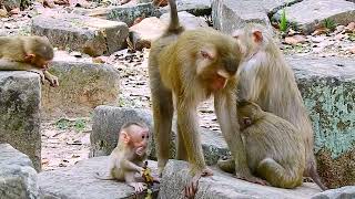 Baby Jovi so sad when mom Joyce try to rejected milk