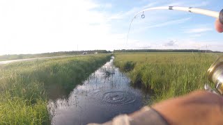 Catching Fish In Flooded Ditch (INSANE)