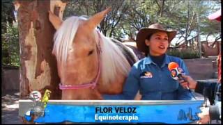 EQUINOTERAPIA: CURACIÓN A CABALLO