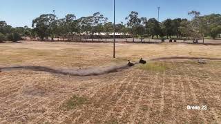 WAMRA first race meeting for 2024 in Pinjarra