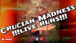 Crucian Madness !!! live runs !!!