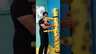 Wing Chun Dummy