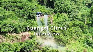 Guangxi Citrus Interview