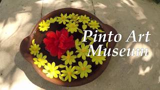 Cinematic Video  Pinto Art Museum