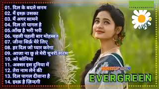 90s evergreen hits hindi songs Bollywood 90's Love songs | Hindi romantic melodies song