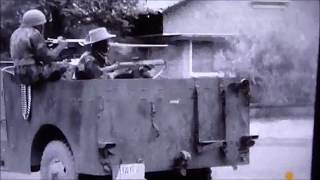 White Scout Car M3A1 in battle