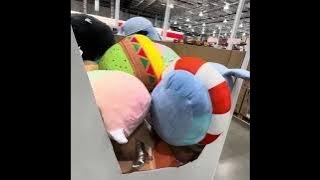 Costco Shopping Haul |Costco Haul with Prices| October Costco shopping cart|Costco Tour-Shop with us